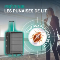 Prevention punaise de lit