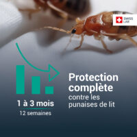 Protection punaise de lit