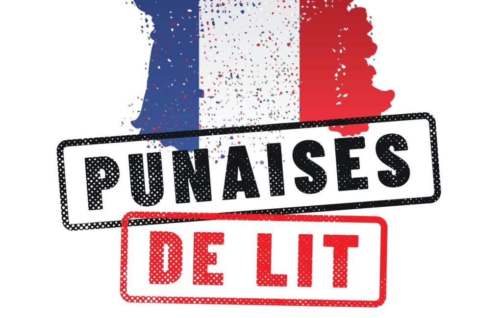 Infestation de punaises de lit en France