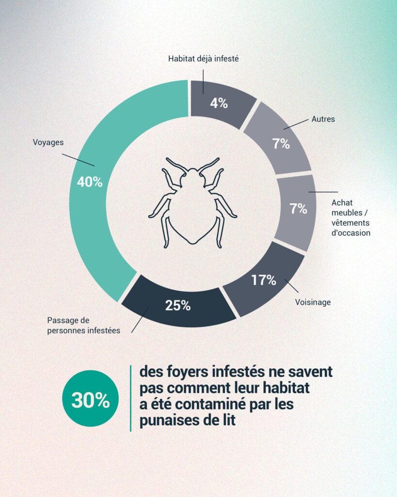 infographie sur les causes d'infestation des punaises de lit